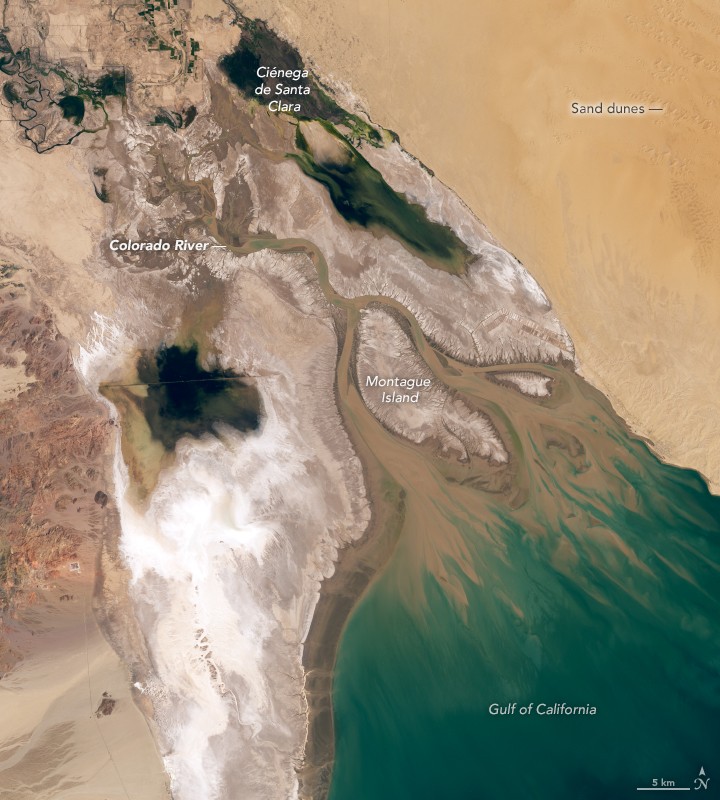 Landsat image of the dry Colorado River delta meeting the Gulf of California