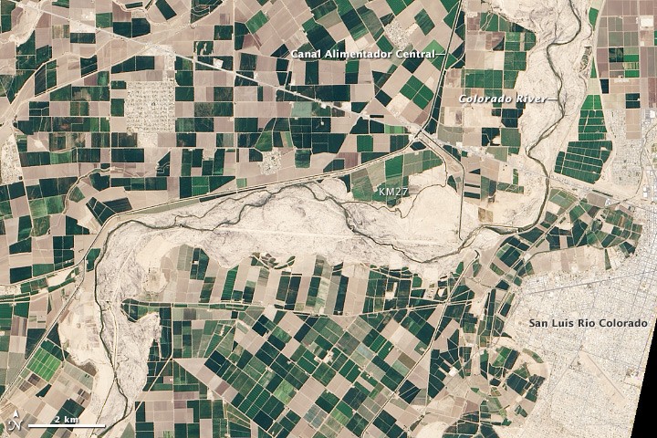 Landsat image from April 2014 showing water in the Colorado's dry channel during the pulse flow, near San Luis Rio Colorado